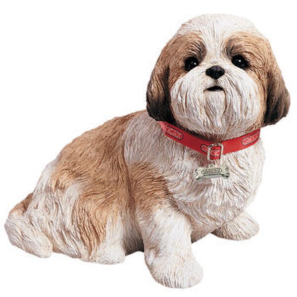 Shih Tzu Gold & White Dog Sculpture Life-Size